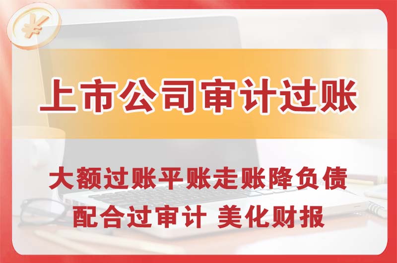 陇南上市公司审计过账